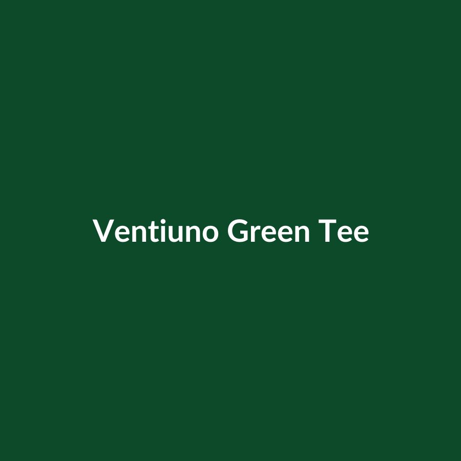 Ventiuno Jeans Everything is Universal Tee Green