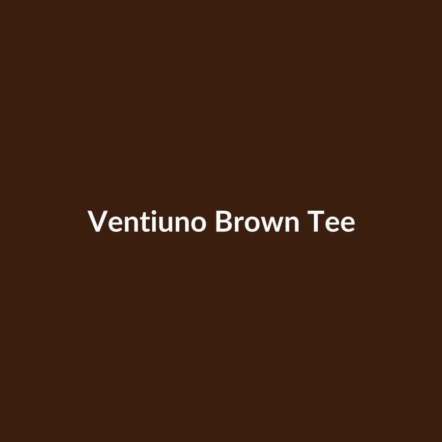 Ventiuno Jeans Everything is Universal Tee Brown