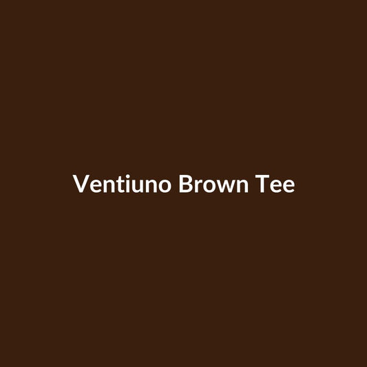 Ventiuno Jeans Everything is Universal Tee Brown